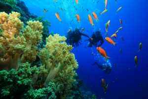Belize Dive Locations